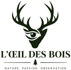 L'Œil des Bois
