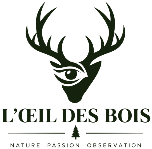 L'Œil des Bois — caméras de chasse et matériel d'observation
