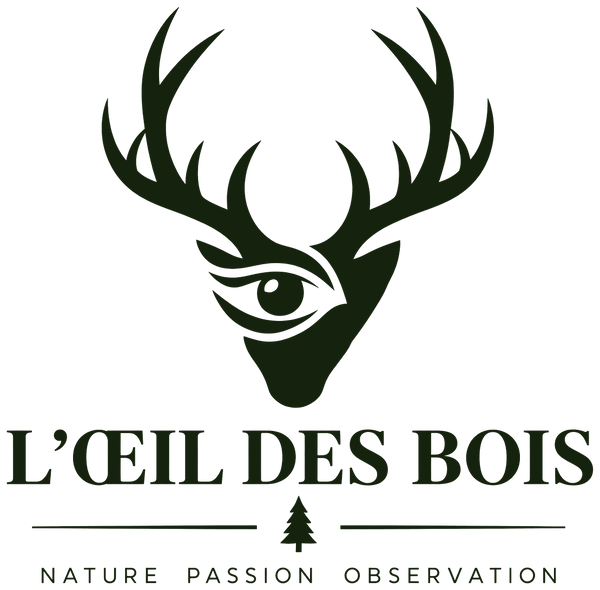 L'Œil des Bois — caméras de chasse et matériel d'observation